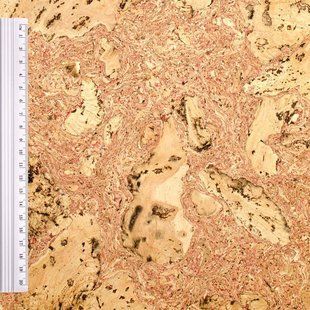 Настінний корок листовий EGEN Atlanta Red Atlanta Red фото