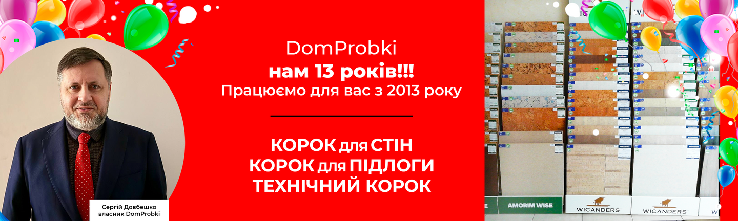 13 лет ДП
